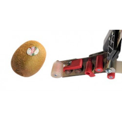 ÉTIQUETEUSE SANS FIL DP25