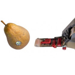 ÉTIQUETEUSE SANS FIL DP25